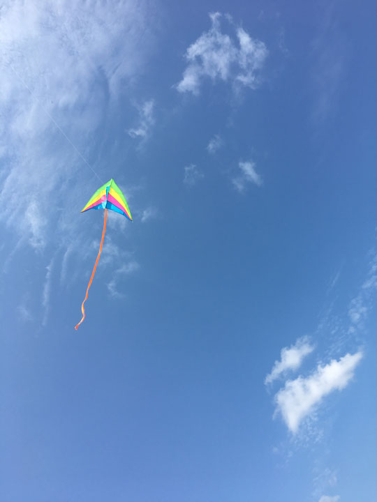 Vertical-17